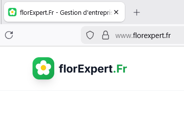 Fenêtre firefox florexpert.fr